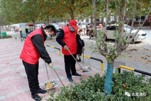 擦亮城市天际线——文明城市创建中的建筑物清洁服务