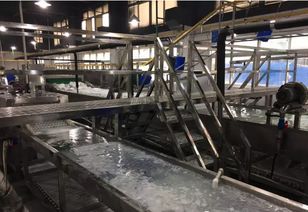 洗碗机流水线设备与建筑物清洁服务 共促卫生标准升级